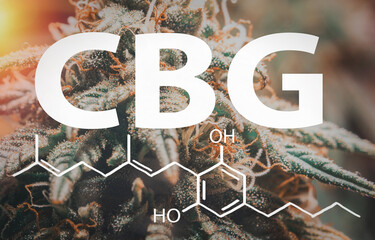 Macro of Marijuana flower with the CBG Cannabigerol letters and chemical structure