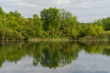 Spring Pond Reflection