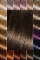 Hair dye for brunette. Hair color palette with a wide range of swatches showing color swatches...