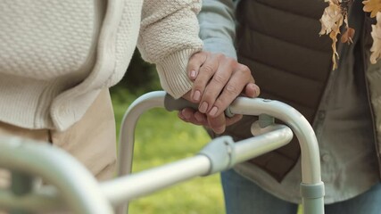 Close-up of unrecognizable woman holding branch with yellow oak leaves covering senior male hand holding on walker with her hand. Elderly husband and wife in park