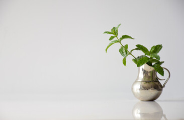 mint leaves in a silver jug on a white background