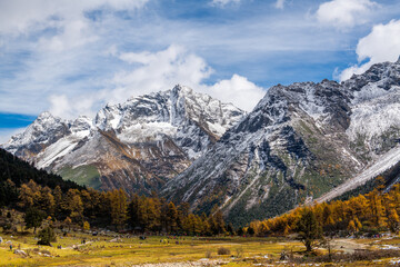 Autumn snow mountain landscape photography picture