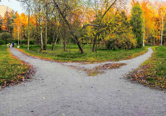 Two alleys diverge in different directions among the green grass and fallen yellow leaves. Conceptual autumn landscape