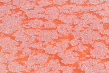 Desert red lake close-up
