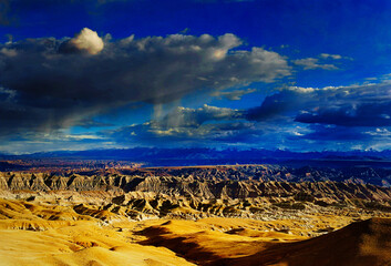 Earth forest scenery on the plateau