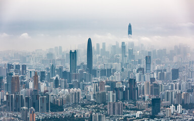 Fototapeta na wymiar On Wutong Mountain, a distant view of Shenzhen City