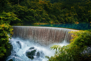 Forest waterfall scenery close-up