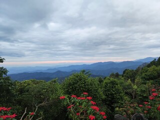 The sunrise sky on the Nature Trail, Kiew Fin Viewpoint, Lampang Province, Thailand. 