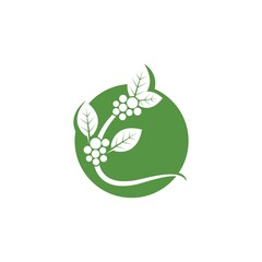 coffee plant vector icon illustration design template