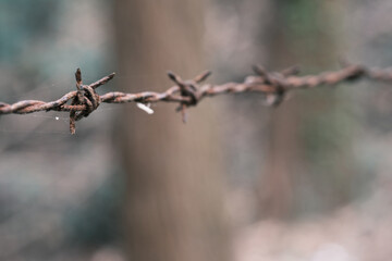 進入禁止の錆付いた有刺鉄線