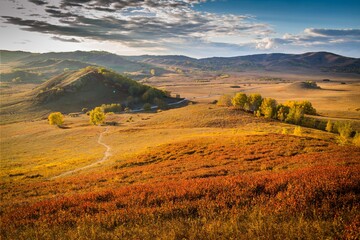 Obraz premium Photography pictures of autumn grassland scenery