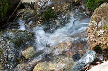 Slow shot of the stream flowing in the mountains outdoors in summer