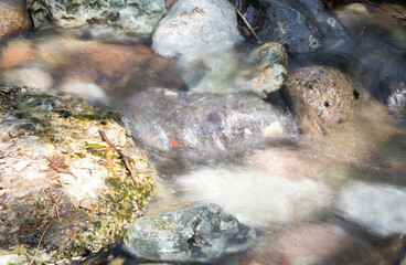 Slow shot of the stream flowing in the mountains outdoors in summer