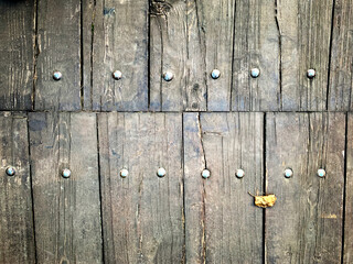 Natural abstract textured wood background with metal nails, copy space