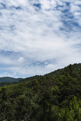 mountainous landscape in the fall