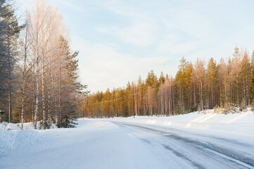 Snow scenery in the Finnish forest