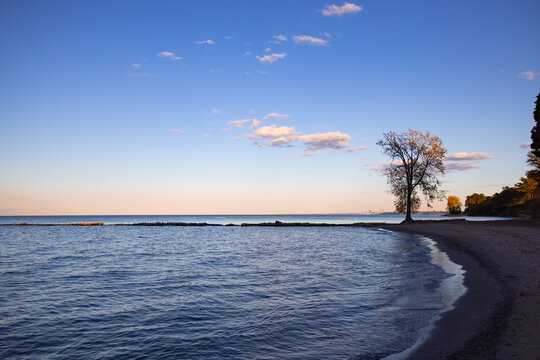 Romantic beach scene with big tree and view over lake Erie with Cleveland cityscape in the background. 