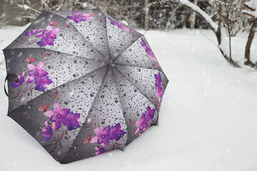 Umbrella in the snow. A bright gray umbrella with purple flowers lies on the white snow in the Park.