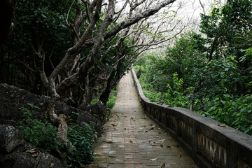Obraz premium Backgrounds walkway On the Mountain