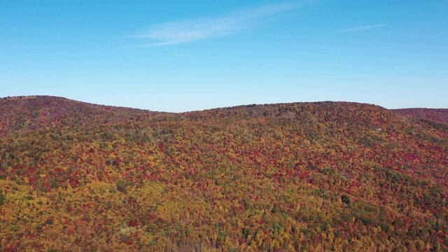 Aerial shot of Long Mountain in West Virginia in the Autumn, the western boundary of the Trout Run Valley. The camera makes a dolly in motion. The trees are bright with red, orange and yellow leaves.