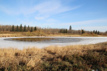 Last Open Water, Pylypow Wetlands, Edmonton, Alberta