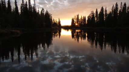 sunset in the forest