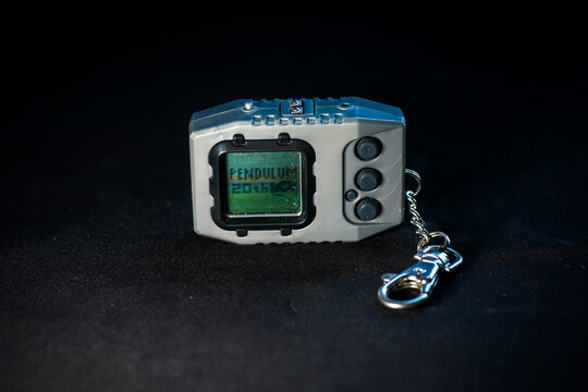 VPet 20th anniversary edition