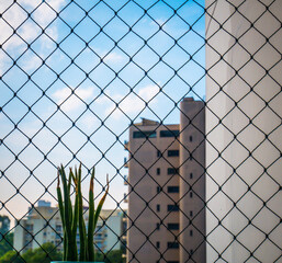 View through a window with safety net