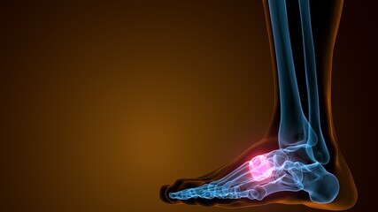 3d illustration of the skeleton foot medial cuneiform bone
