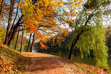Fototapeta na wymiar Autumn beautiful romantic alley in a park with colorful trees and autumn pond. Autumn landscape background.
