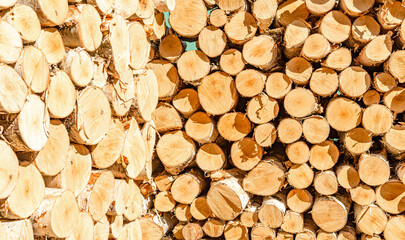 Sawn logs from birch trunks are stacked in a corner stack