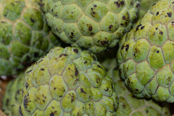 Close up Macro image of fresh Apples, Bananas and custard apples