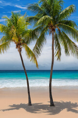 Paradise tropical sunny beach with coco palms and the turquoise sea on Caribbean island.	