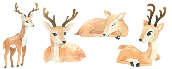watercolor deer on white background, merry christmas, childrens illustration