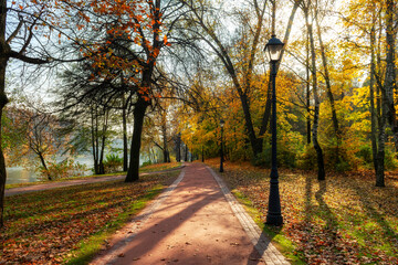 Autumn alley with colourful leaves in autumn trees in the park