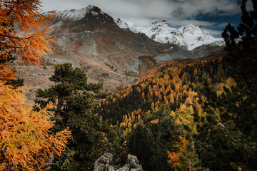 Fototapeta premium Herbst Landschaft 