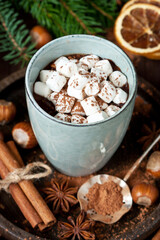 Homemade spicy hot chocolate with cinnamon in  ceramic mug