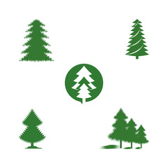 Set Cedar tree vector icon illustration design template