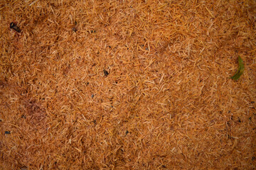 Sawed wood chips For background