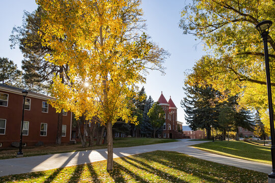 Beautiful fall color around the campus of Northern Arizona University