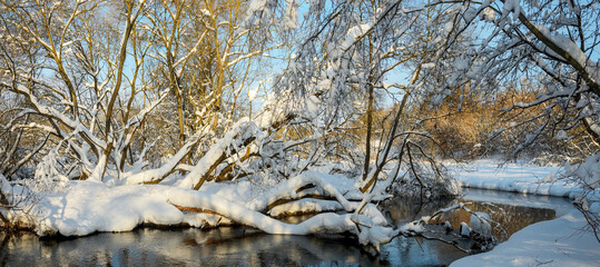 Fototapeta na wymiar Sunny winter landscape with forest river and snow covered trees