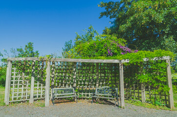 Bench in the Green