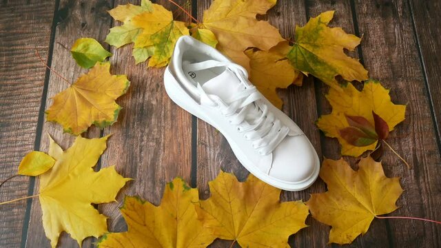 hand puts modern white sneakers and on wooden background with autumn leaves, autumn mood concept, autumn sales, flay lay, closeup