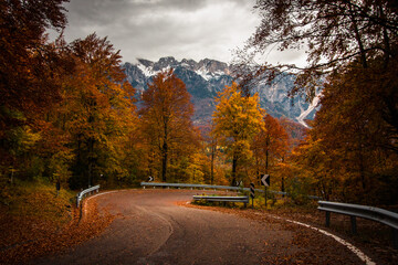 Obraz premium A road going into colorful autumn woods, with leaves and mountains on the background.