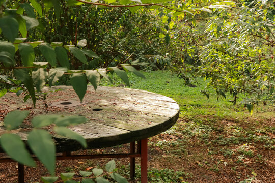 Old round wooden table in a secluded corner of the park
