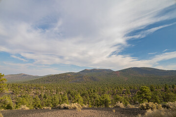 Fototapeta na wymiar Afternoon landscape of the Sunset Crater Volcano area