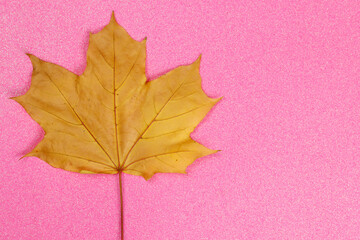 autumn yellow maple leaf on a background of glitter