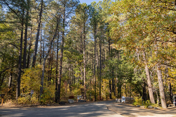 Beautiful fall color around the entrance of Cave Springs Campground