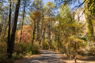 Beautiful fall color around Cave Springs Campground