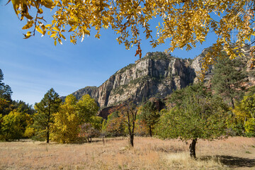 Beautiful fall color around West Fork hiking area